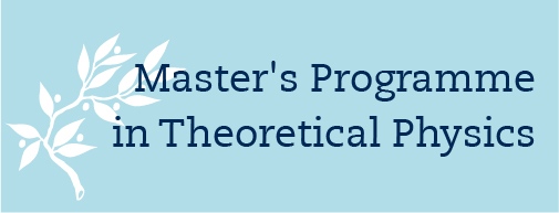 master thesis theoretical physics